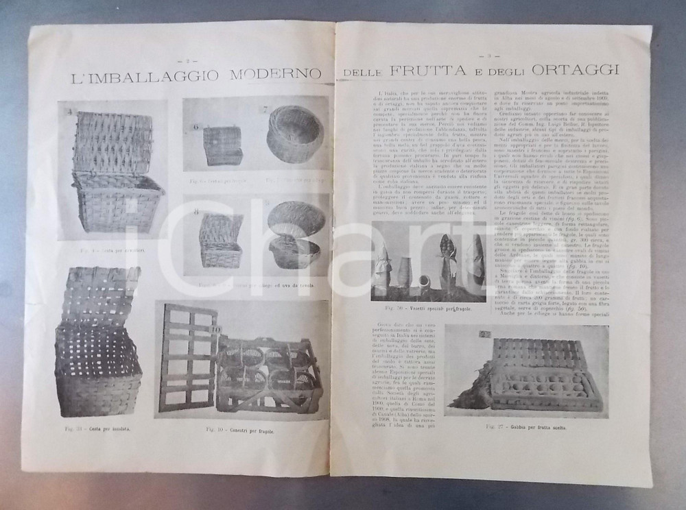 Documento originale, autentico 1890 ca CUNEO Commercio frutta e ortaggi  Imballaggio moderno ILLUSTRATO 1