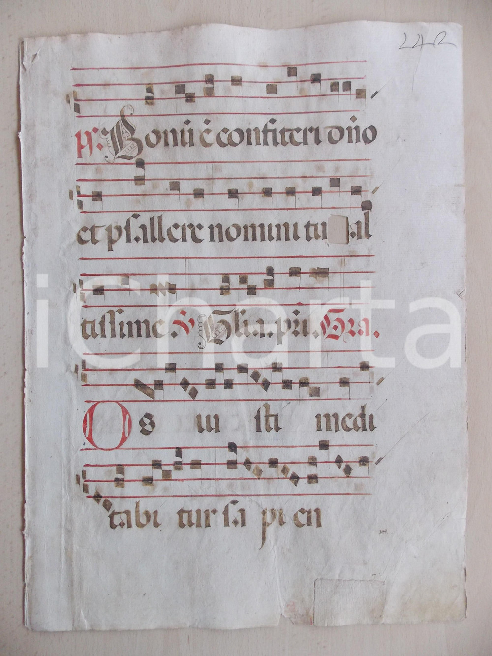 Libro, pubblicazione d epoca 1600 ca ANTIFONARIO ROMANO Pagina manoscritta rosso nero Salmo BONUM Danneggiata 1