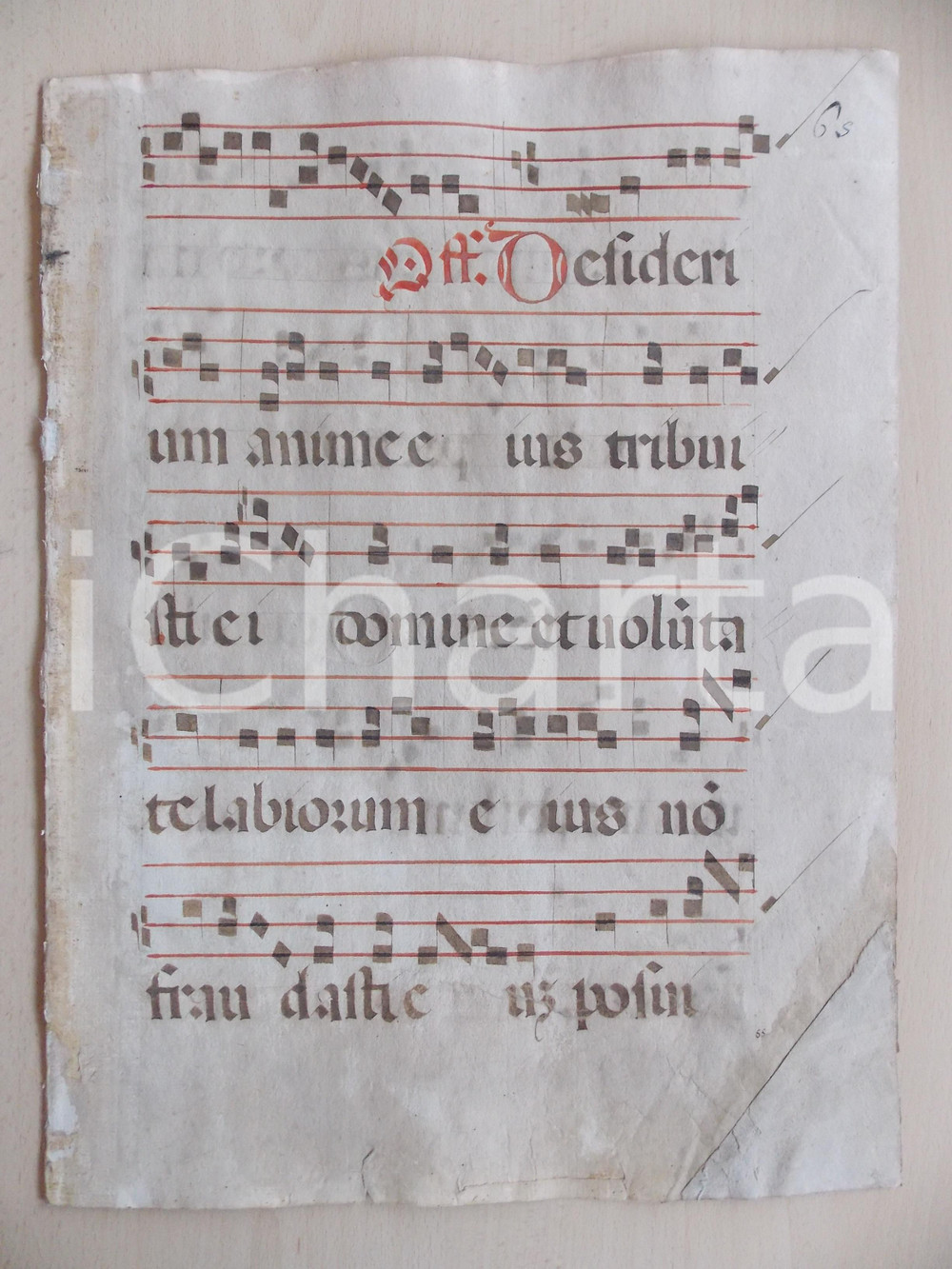 Libro, pubblicazione d epoca 1600 ca ANTIFONARIO ROMANO Pagina manoscritta rosso nero DESIDERIUM Danneggiata 1