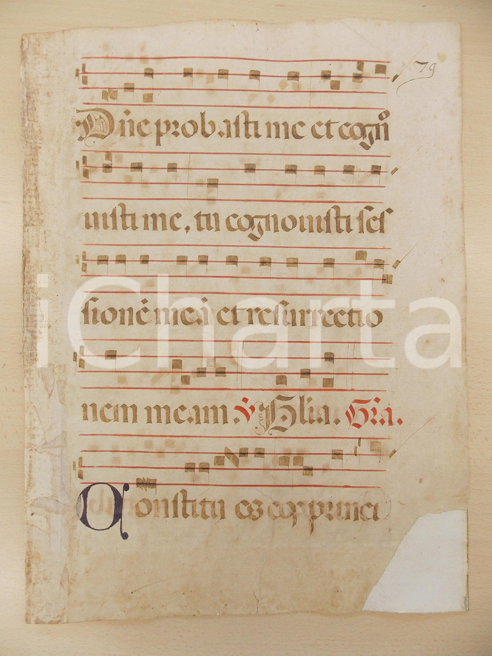 Libro, pubblicazione d epoca 1600 ca ANTIFONARIO ROMANO Pagina manoscritta canti rosso nero Salmo CONSTITUES 1