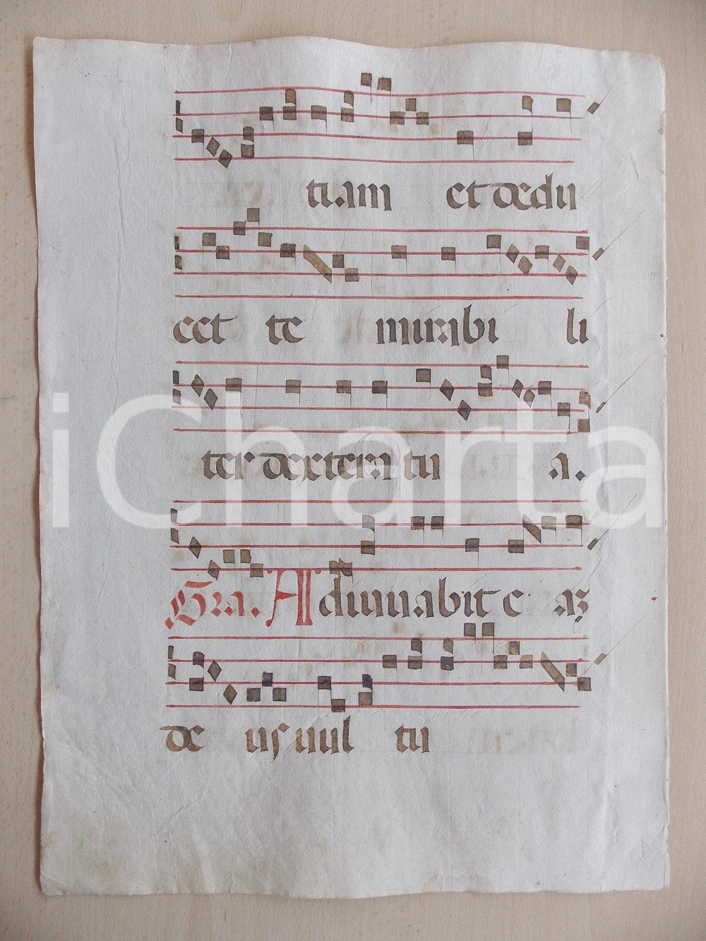 Libro, pubblicazione d epoca 1600 ca ANTIFONARIO ROMANO Pagina manoscritta canti rosso nero Salmo ADIUVABIT 1