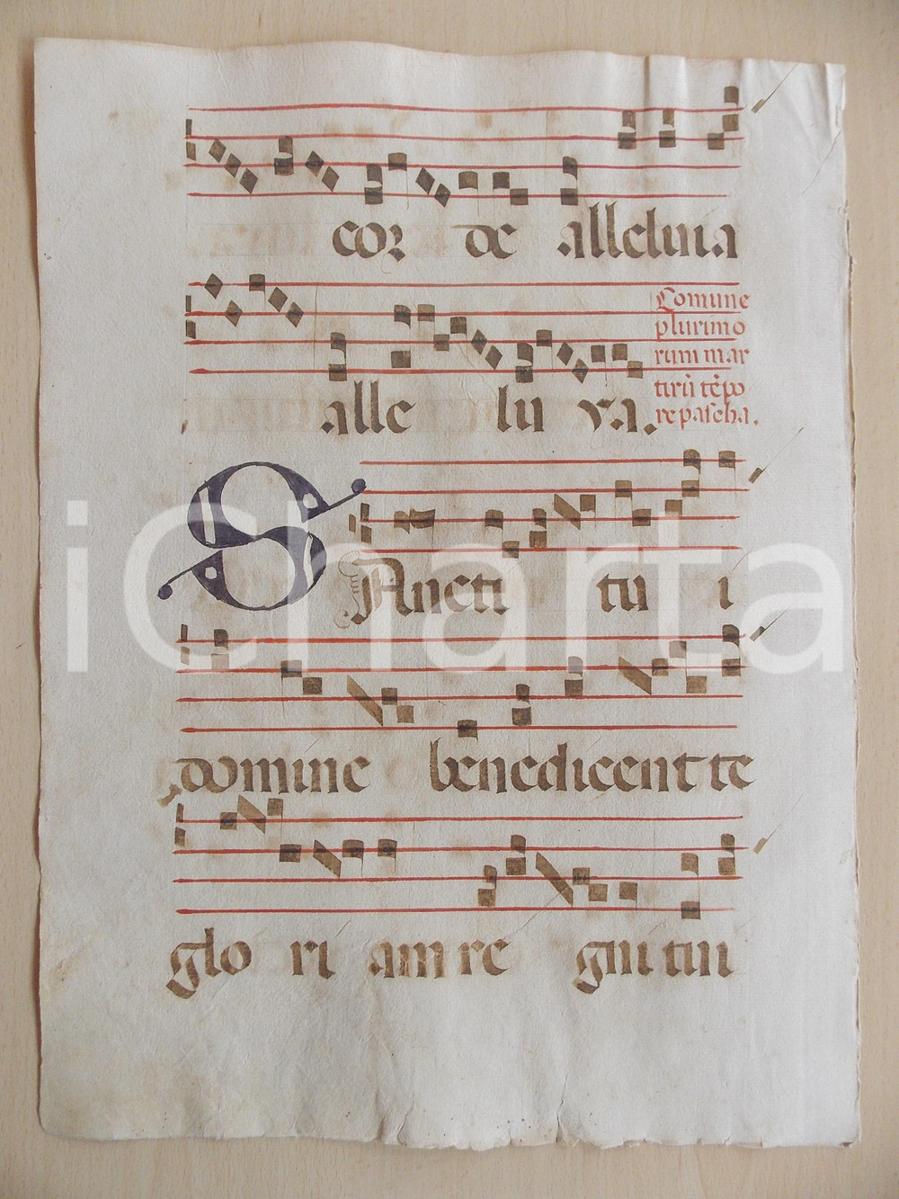 Libro, pubblicazione d epoca 1600 ca ANTIFONARIO ROMANO Pagina manoscritta canti rosso nero Salmo SANCTI TUI 1