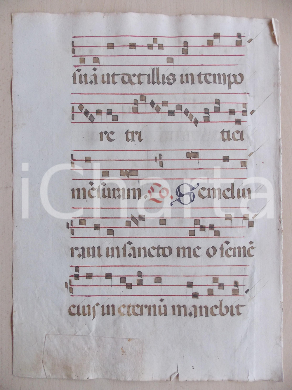 Libro, pubblicazione d epoca 1600 ca ANTIFONARIO ROMANO Pagina manoscritta canti rosso nero Salmo SEMEL 1