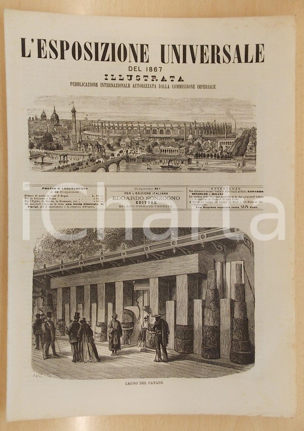 Giornale, rivista storica 1867 L ESPOSIZIONE UNIVERSALE Legni da ebanisteria  CANADA Disp. 35 1