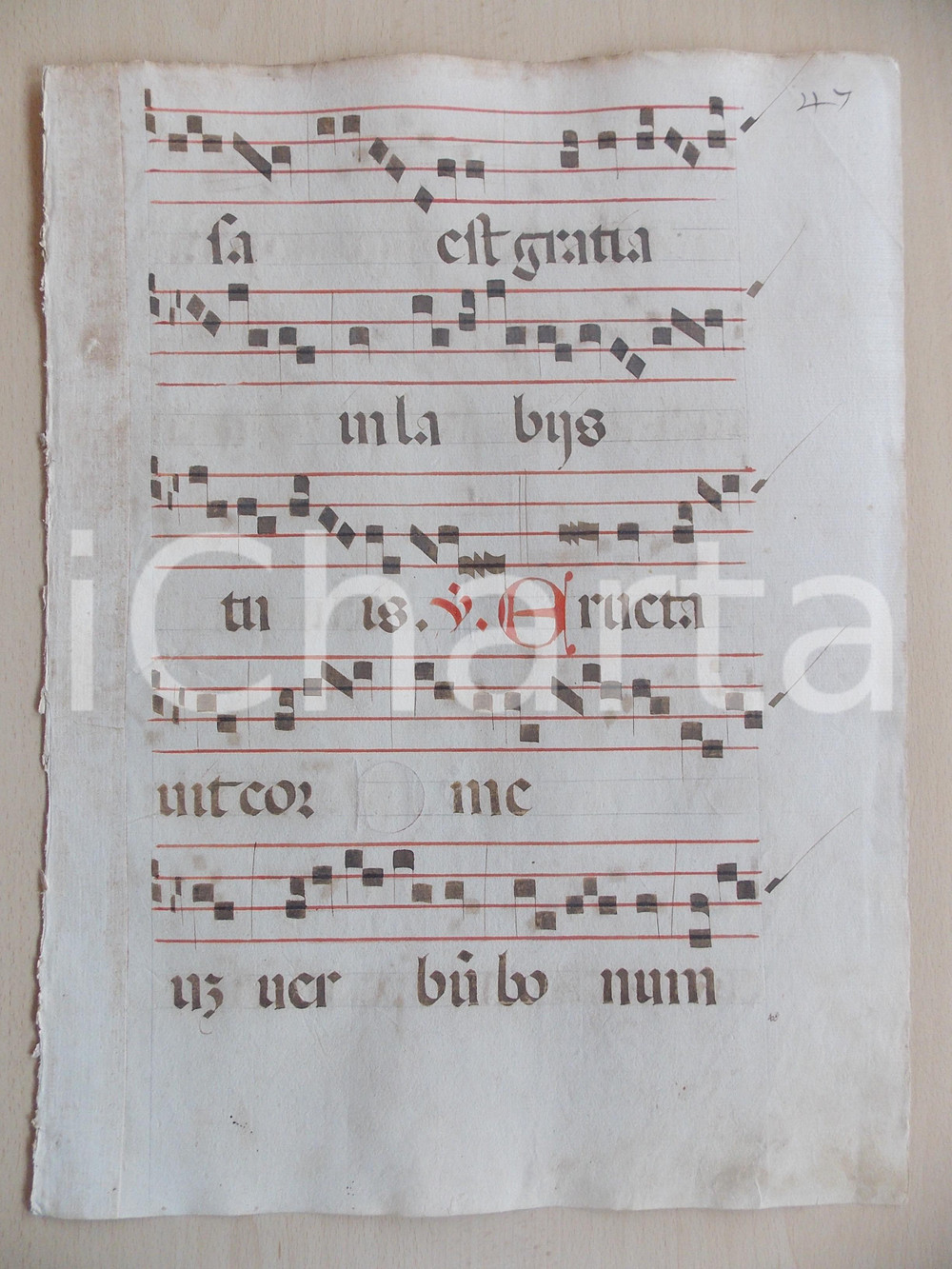 Libro, pubblicazione d epoca 1600 ca ANTIFONARIO ROMANO Pagina manoscritta canti rosso nero Salmo ERUCTAVIT 1