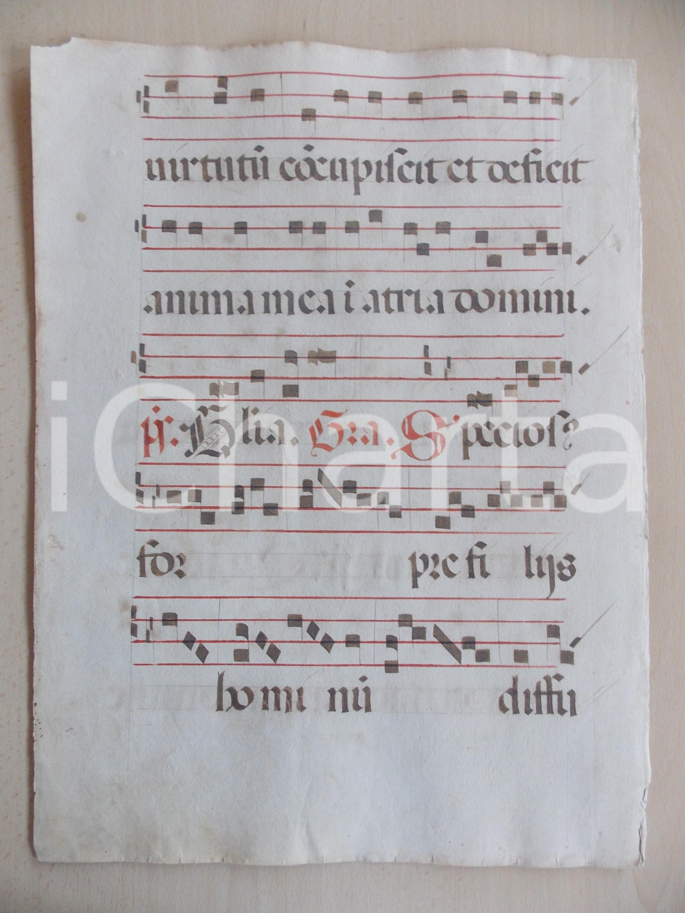 Libro, pubblicazione d epoca 1600 ca ANTIFONARIO ROMANO Pagina manoscritta canti rosso nero Salmo SPECIOSUS 1