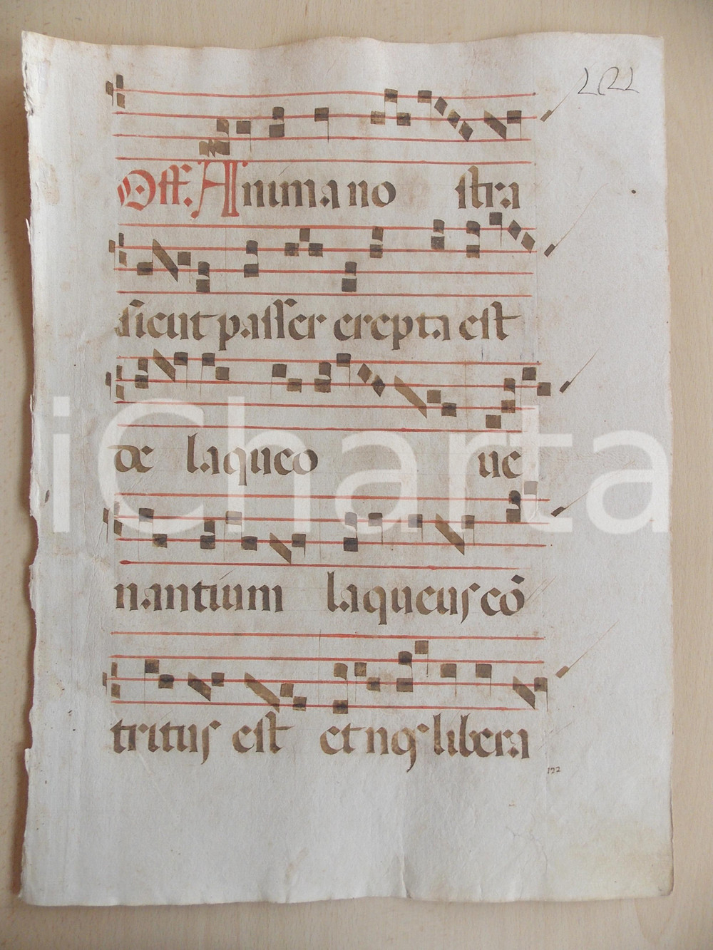 Libro, pubblicazione d epoca 1600 ca ANTIFONARIO ROMANO Pagina manoscritta rosso nero Salmo ANIMA NOSTRA 1