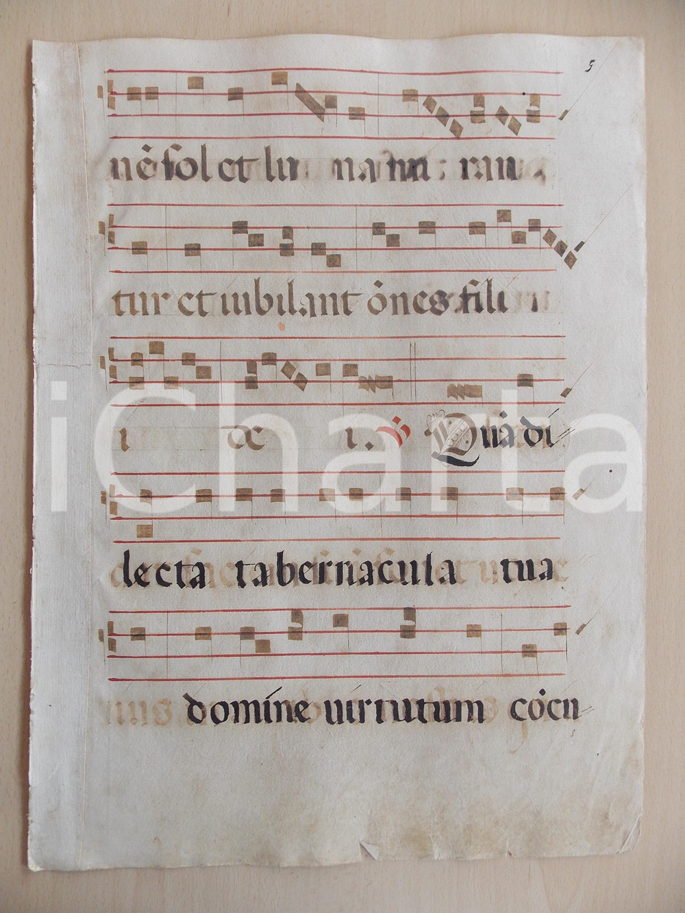 Libro, pubblicazione d epoca 1600 ca ANTIFONARIO ROMANO Pagina manoscritta rosso e nero Salmo QUAM DILECTA 1