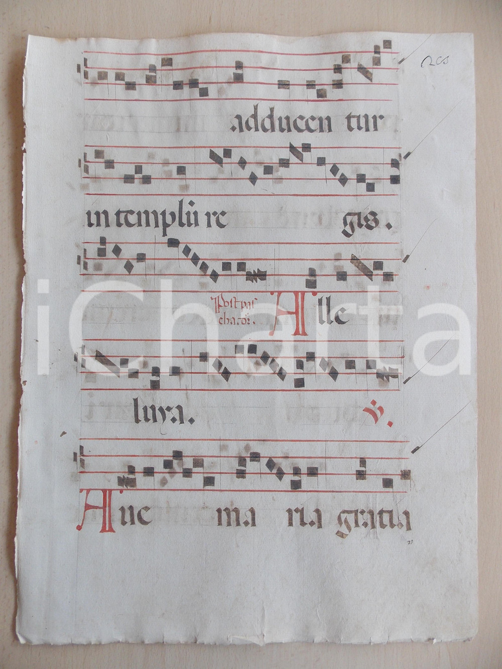 Libro, pubblicazione d epoca 1600 ca ANTIFONARIO ROMANO Pagina manoscritta canti rosso nero Salmo AVEMARIA 1