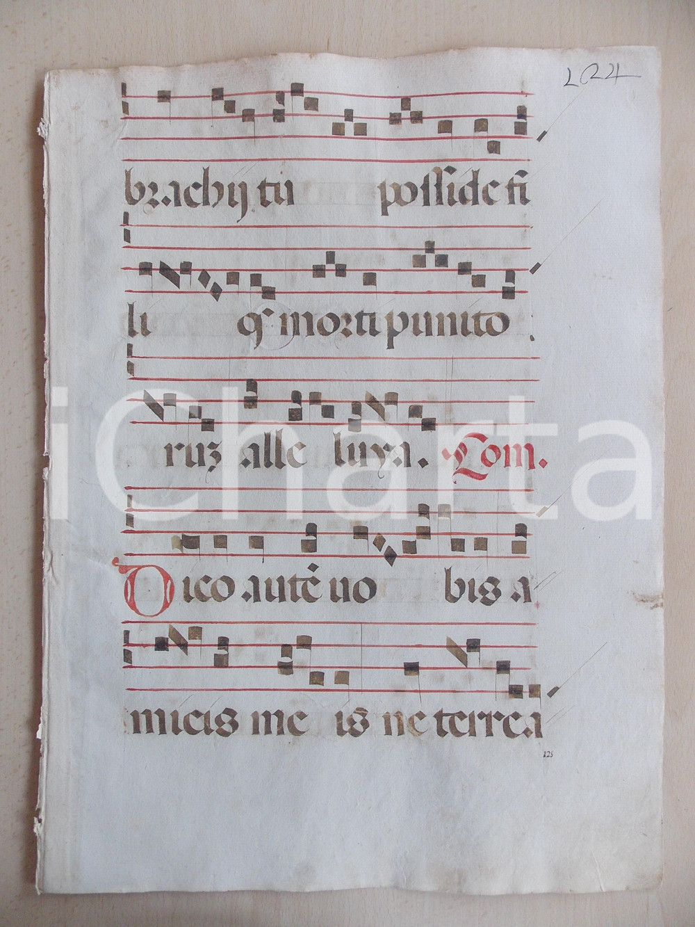 Libro, pubblicazione d epoca 1600 ca ANTIFONARIO ROMANO Pagina manoscritta canti rosso nero Salmo DICO AUTEM 1