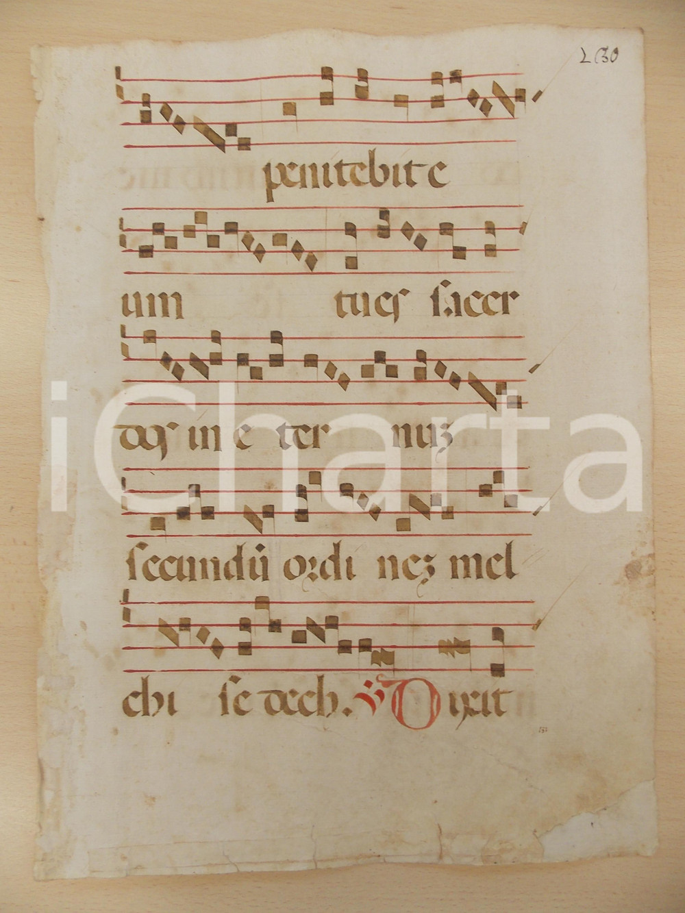 Libro, pubblicazione d epoca 1600 ca ANTIFONARIO ROMANO Pagina manoscritta rosso nero Salmo DIXIT Danneggiata 1