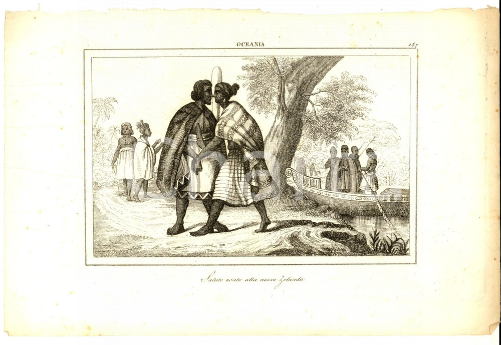 Stampa, bozzetto originale 1830 ca Domeny DE RIENZI Oceania  Saluto usato alla Nuova Zelanda Stampa 187 1
