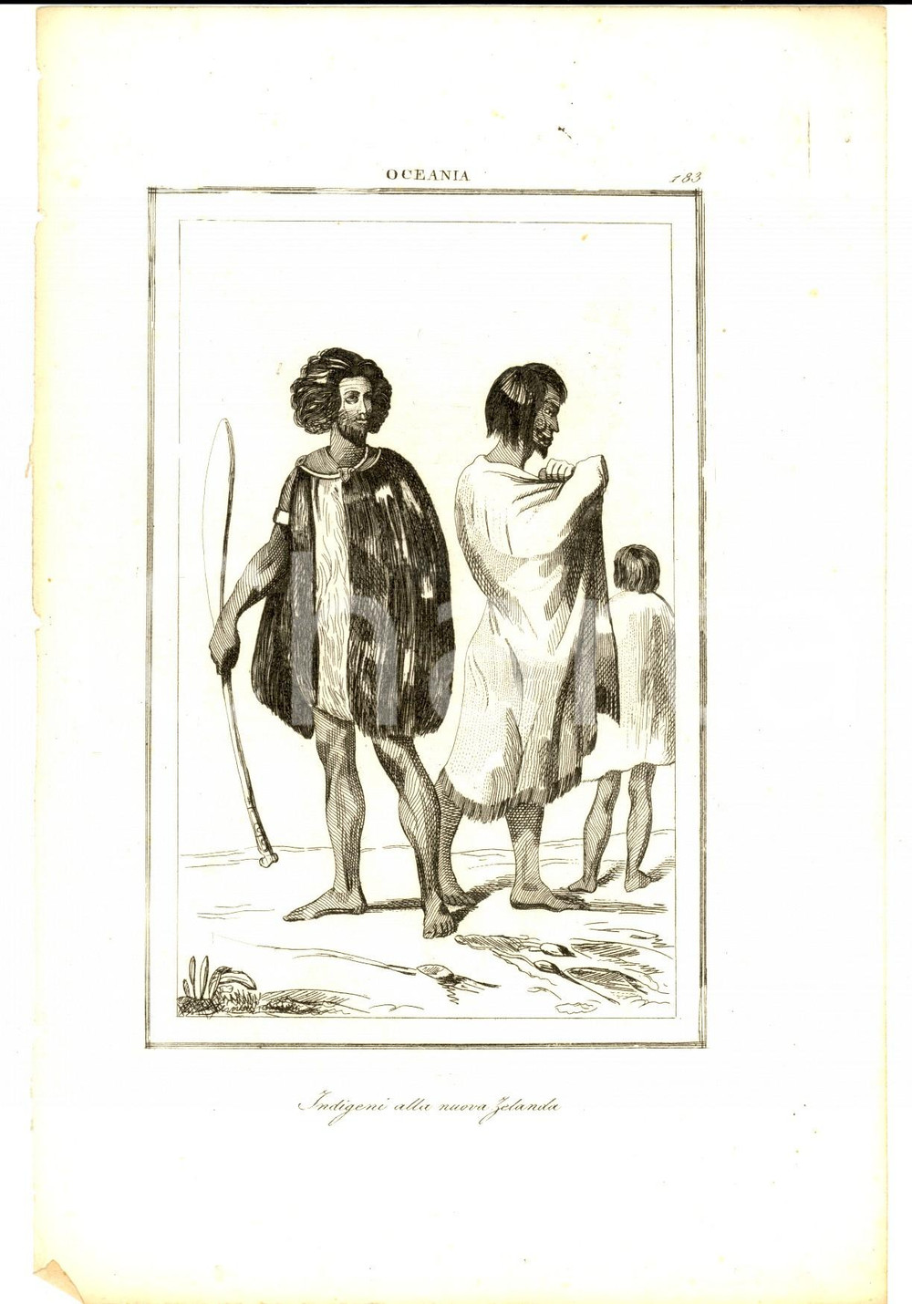 Stampa, bozzetto originale 1830 ca Domeny DE RIENZI Oceania  Indigeni alla Nuova Zelanda Stampa nÂ° 183 1