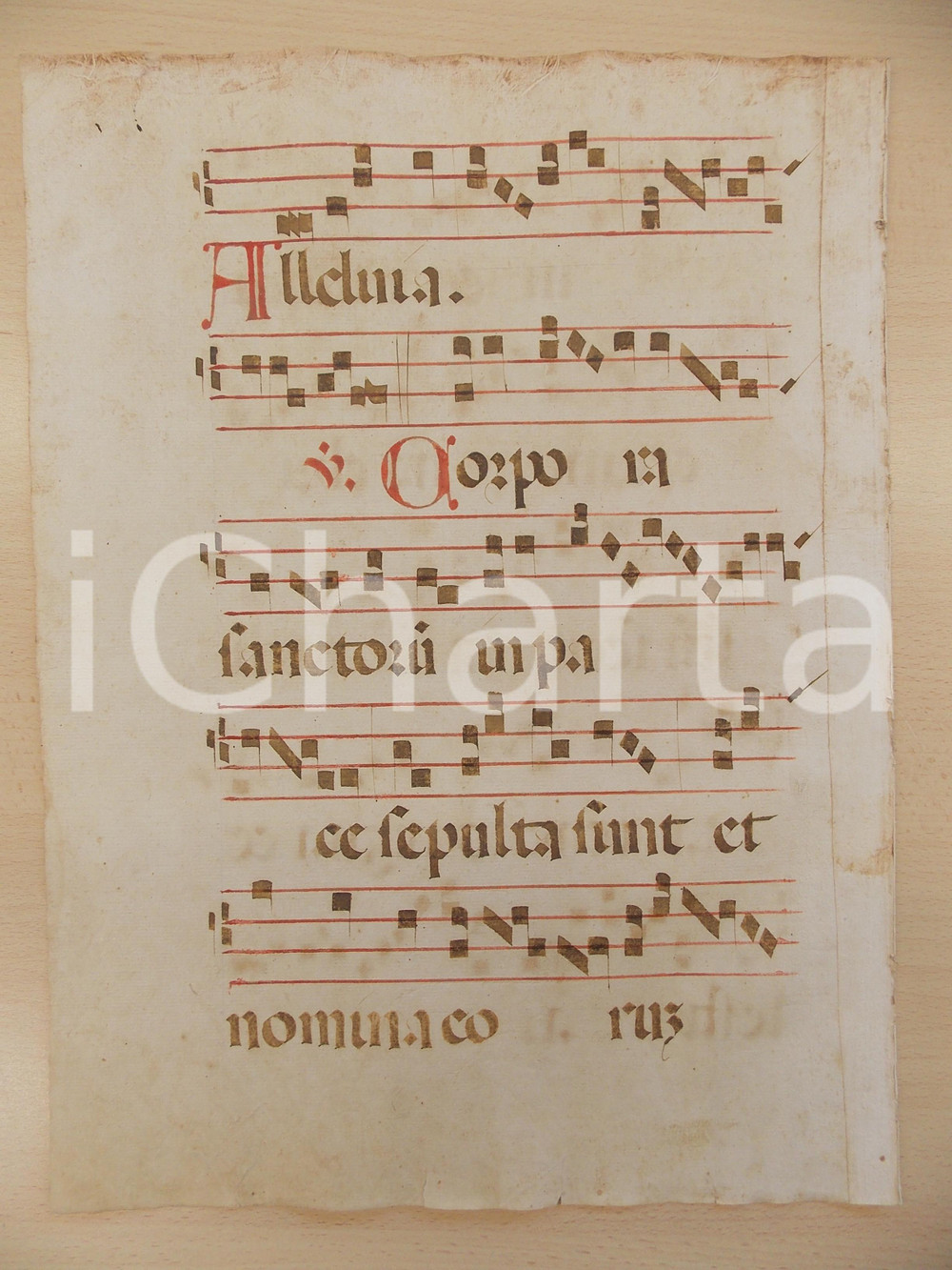 Libro, pubblicazione d epoca 1600 ca ANTIFONARIO ROMANO Pagina manoscritta canti rosso nero Salmo CORPORA 1