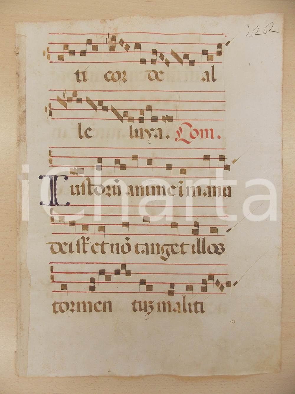 Libro, pubblicazione d epoca 1600 ca ANTIFONARIO ROMANO Pagina manoscritta rosso nero Salmo IUSTORUM ANIMAE 1