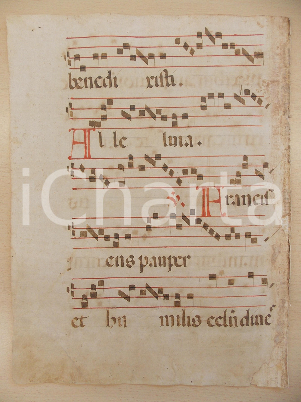 Libro, pubblicazione d epoca 1600 ca ANTIFONARIO ROMANO Pagina manoscritta rosso nero FRANCISCUS Danneggiata 1