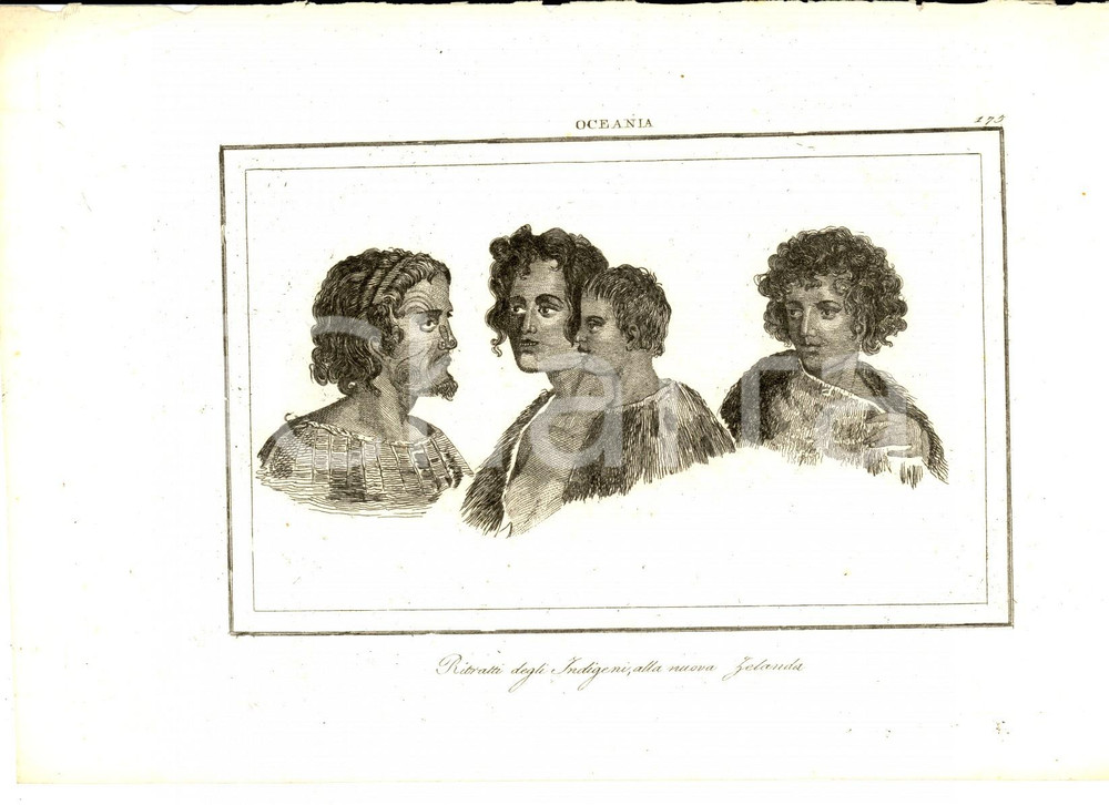 Stampa, bozzetto originale 1830 ca Domeny DE RIENZI Oceania  Indigeni alla Nuova Zelanda Stampa nÂ° 175 1