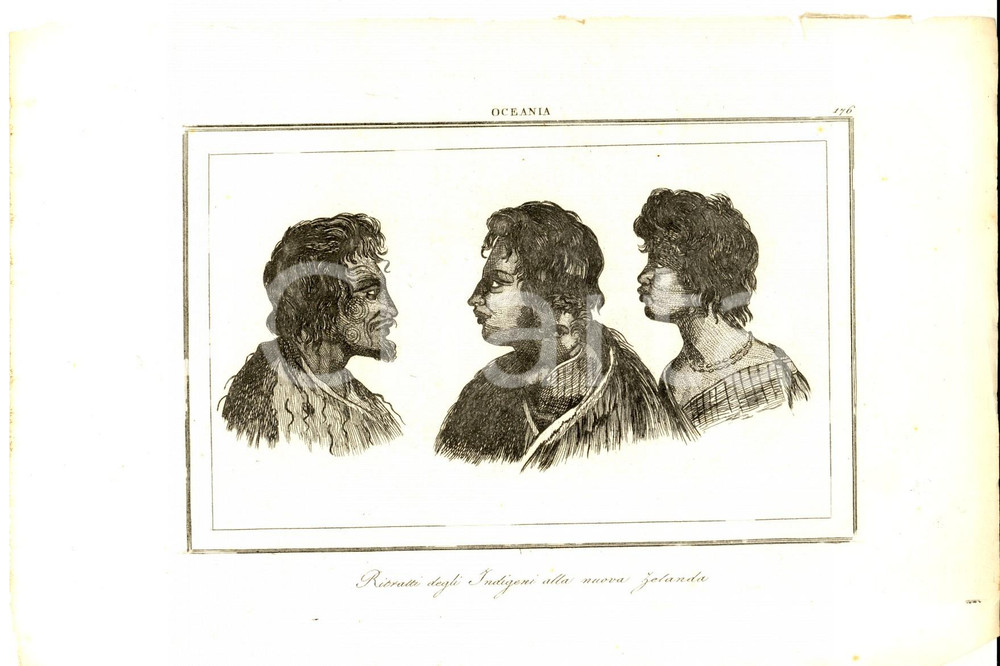 Stampa, bozzetto originale 1830 ca Domeny DE RIENZI Oceania  Indigeni alla Nuova Zelanda Stampa nÂ° 176 1