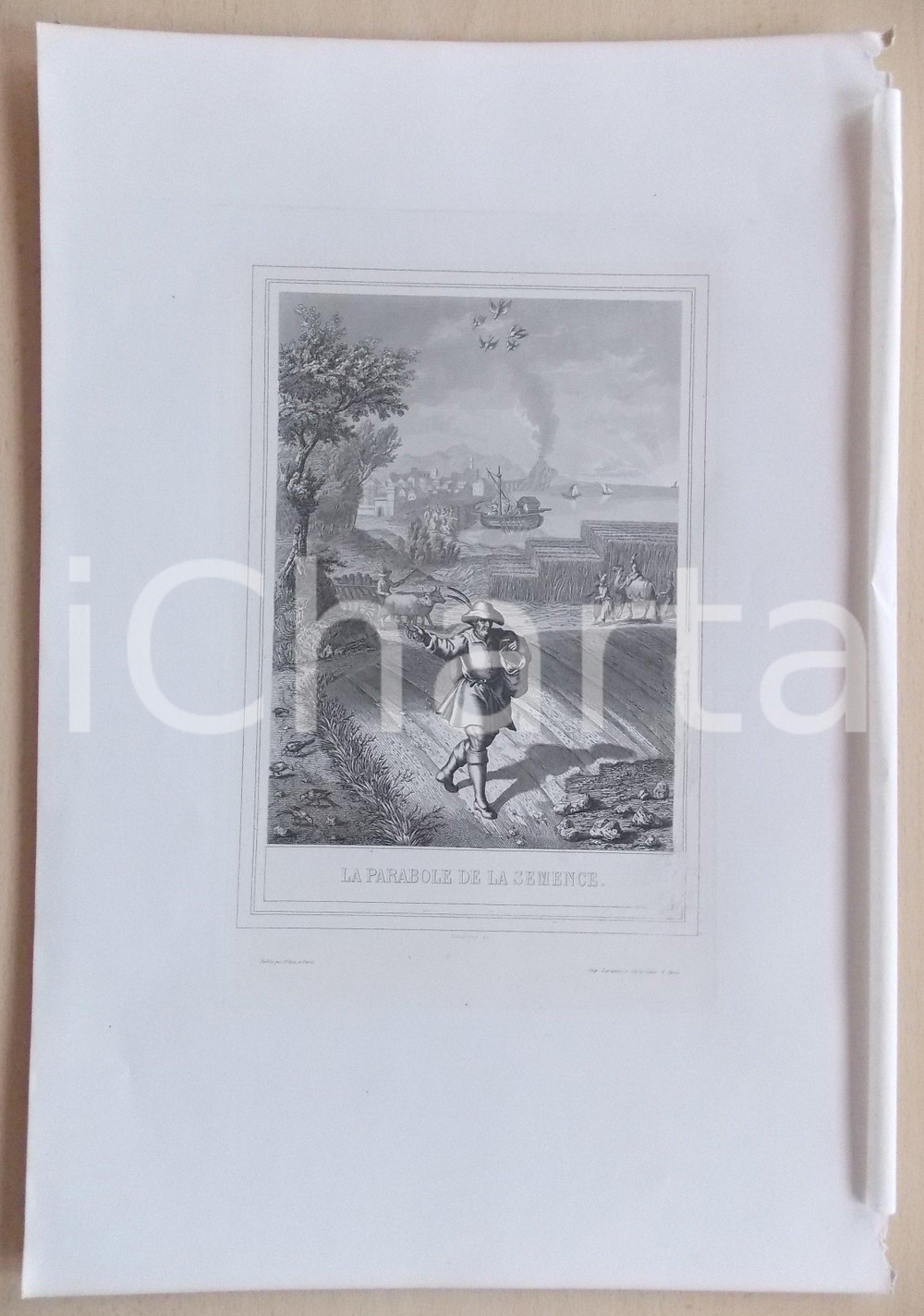 Stampa, bozzetto originale 1853 VIE DE N. S. JESUS CHRIST La parabole de la semence Gravure 28 x 42 1