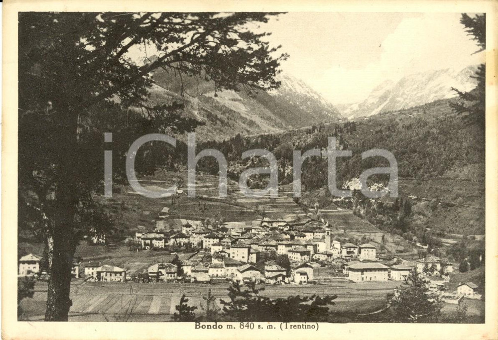 Cartolina originale da collezione 1950 BONDO TN Veduta del paese e della vallata Cartolina FG VG 1