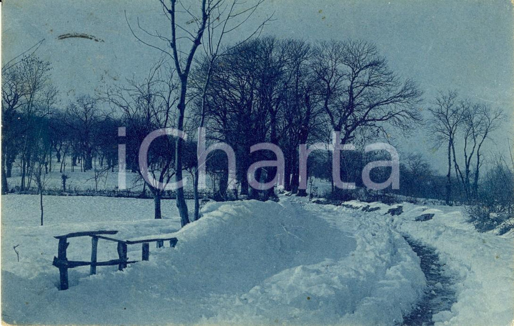 Cartolina originale da collezione 1910 STRESA VB Strada del MOTTARONE fra neve e boschi Cartolina FP VG 1