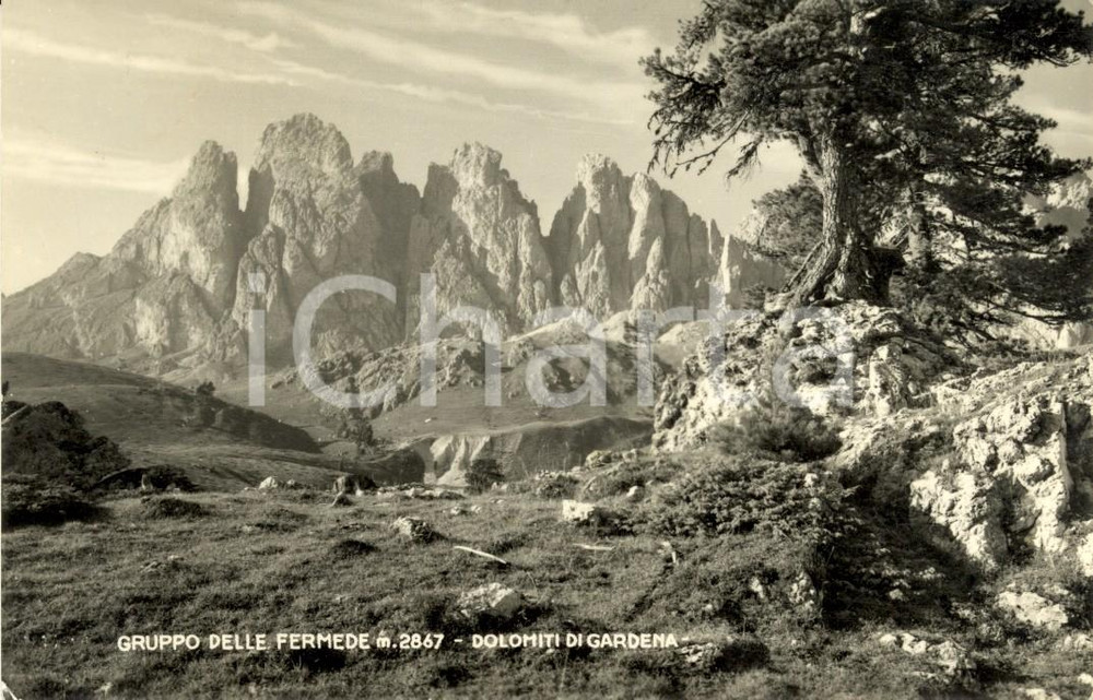 Cartolina originale da collezione 1956 DOLOMITI BZ Veduta panoramica Gruppo della FERMEDA Cartolina FP VG 1