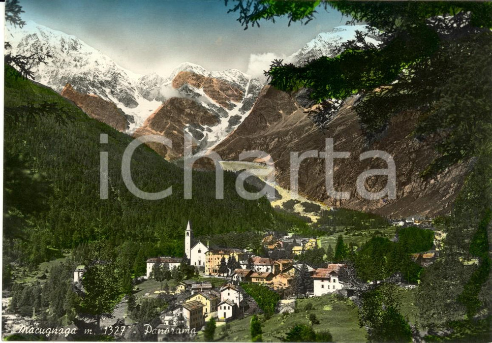 Cartolina originale da collezione 1952 MACUGNAGA VB Panorama del paese con montagne innevate Cartolina FG VG 1