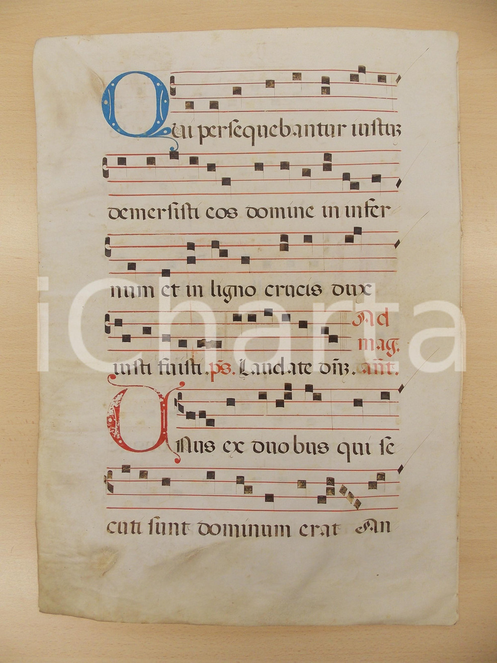 1600 ca ANTIFONARIO ROMANO Pergamena manoscritta rosso nero blu Salmo UNUS