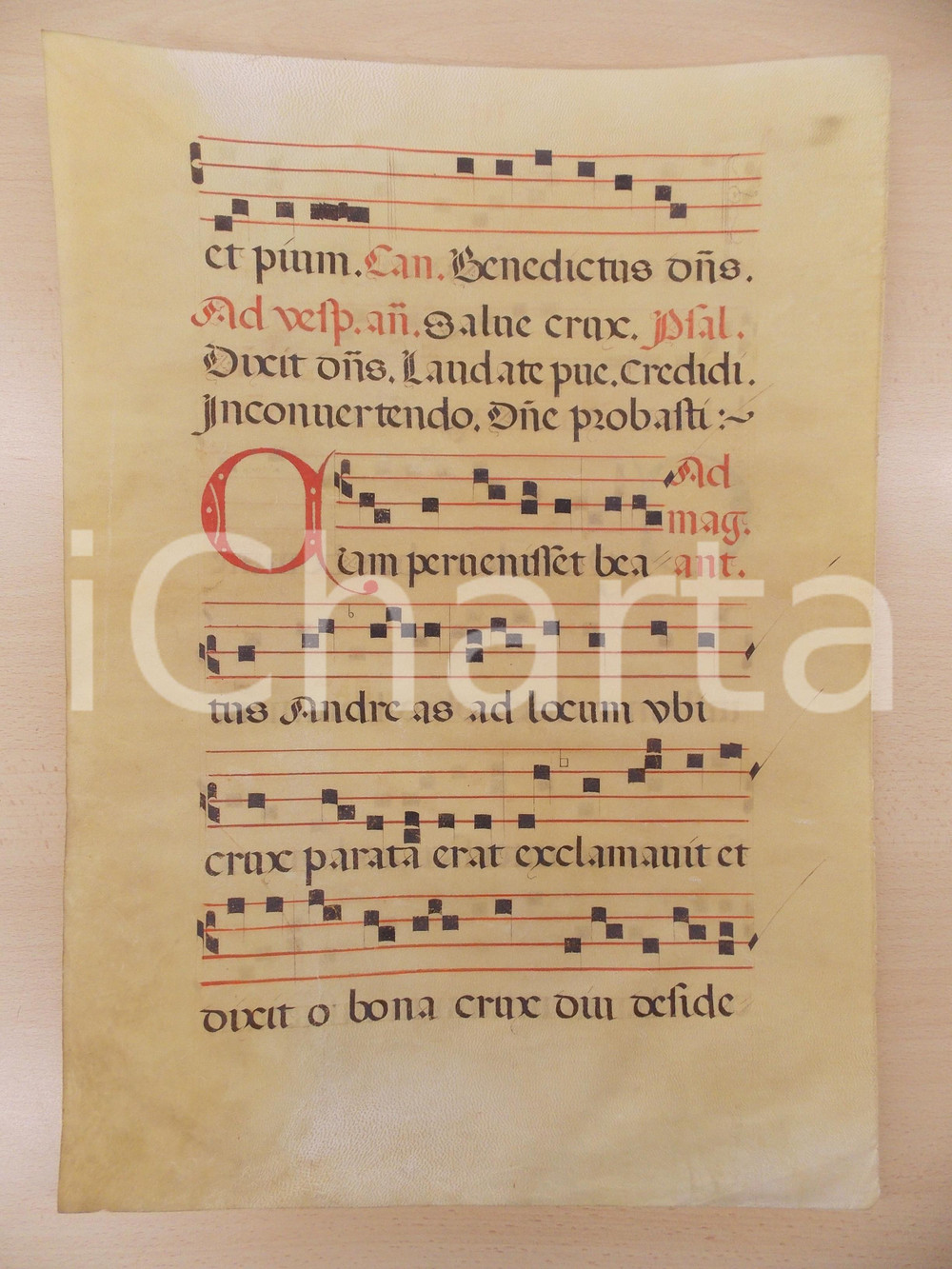 Libro, pubblicazione d epoca 1600 c ANTIFONARIO ROMANO Pergamena manoscritta rosso nero Salmo CUM PERVENISSET 1