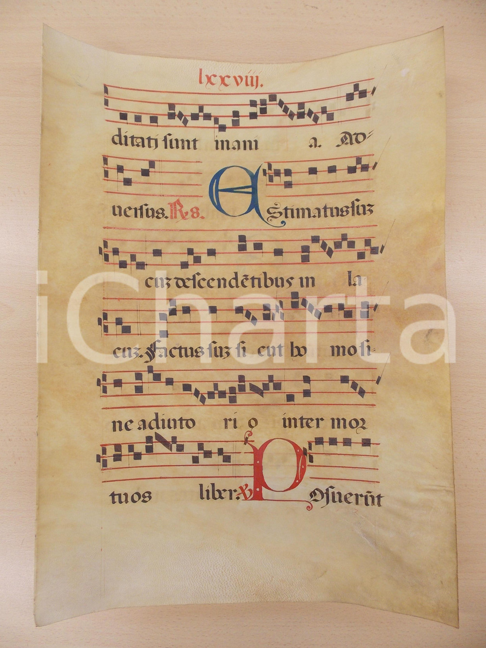 Libro, pubblicazione d epoca 1600 ca ANTIFONARIO ROMANO Pergamena manoscritta rosso nero blu Salmo ESTIMATUS 1