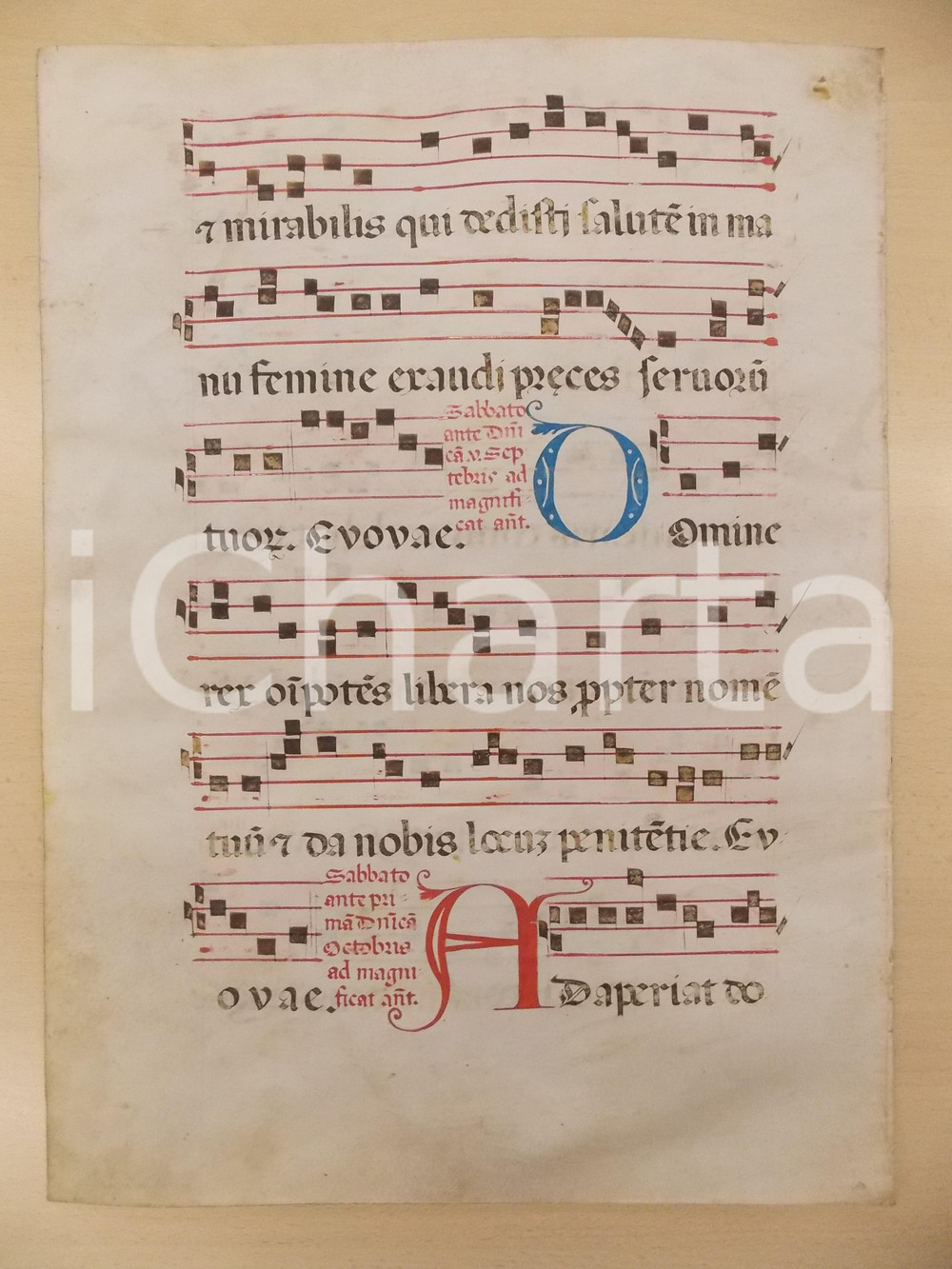 Libro, pubblicazione d epoca 1600 ca ANTIFONARIO ROMANO Pergamena manoscritta rosso nero blu Salmo DOMINE REX 1