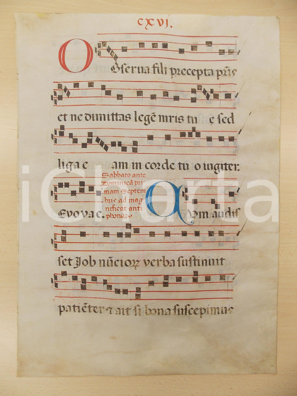 Libro, pubblicazione d epoca 1600 ca ANTIFONARIO ROMANO Pergamena manoscritta rosso nero blu Salmo OBSERVA 1
