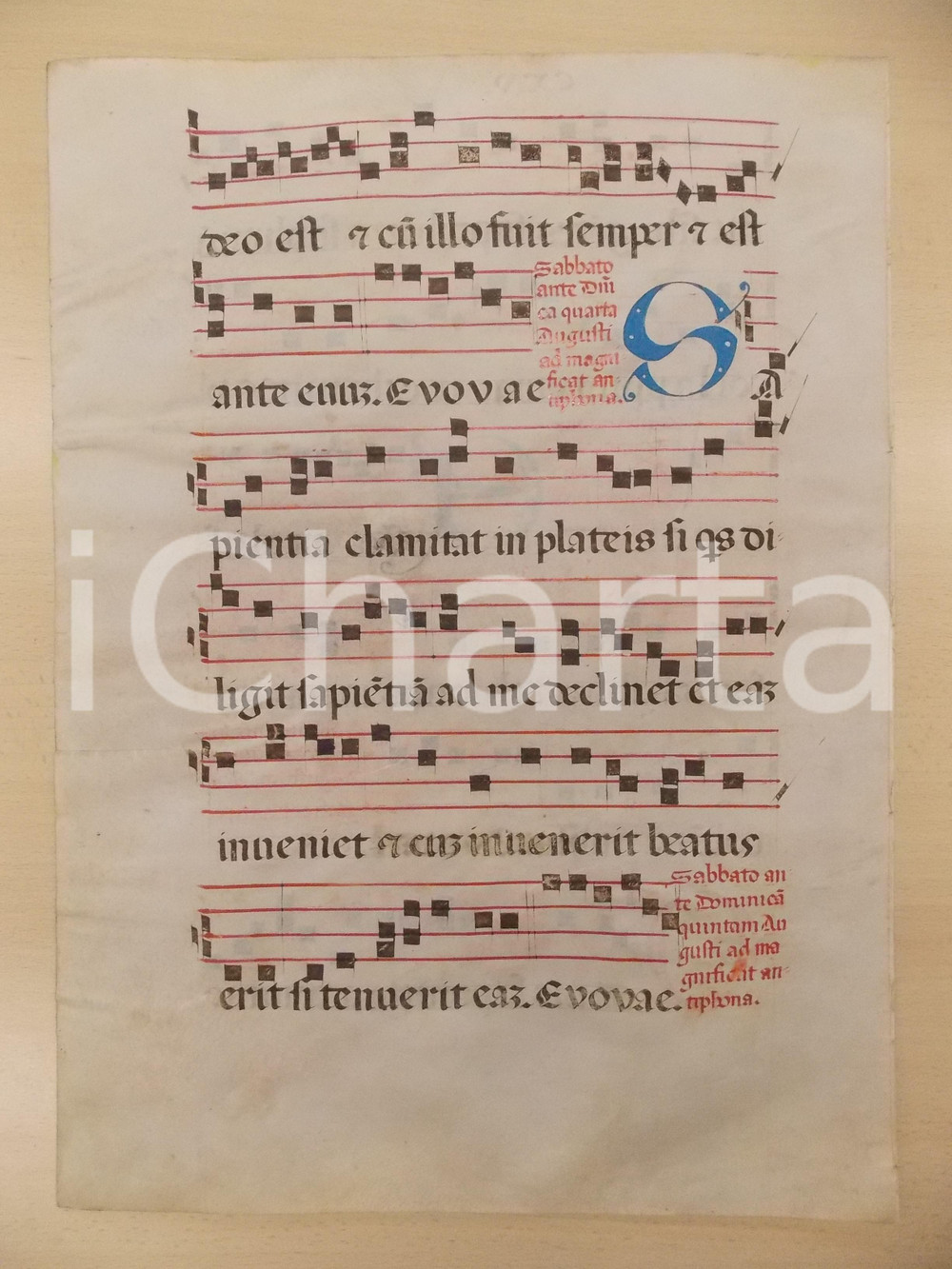 Libro, pubblicazione d epoca 1600 ca ANTIFONARIO ROMANO Pergamena manoscritta rosso nero blu Salmo SAPIENTIA 1