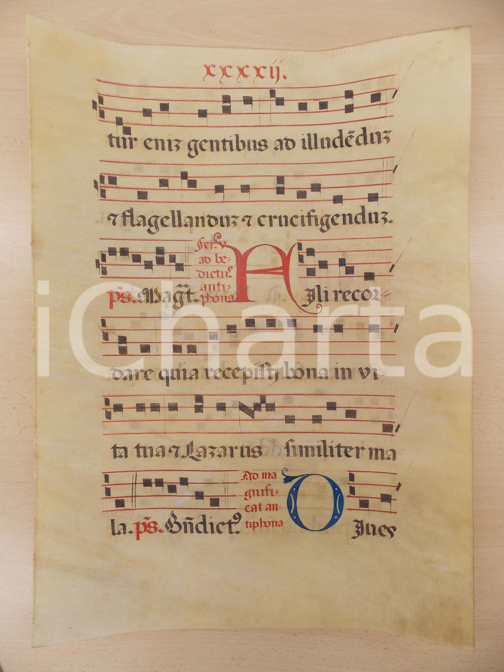 1600 ca ANTIFONARIO ROMANO Pergamena manoscritta rosso nero blu Salmo FILI 