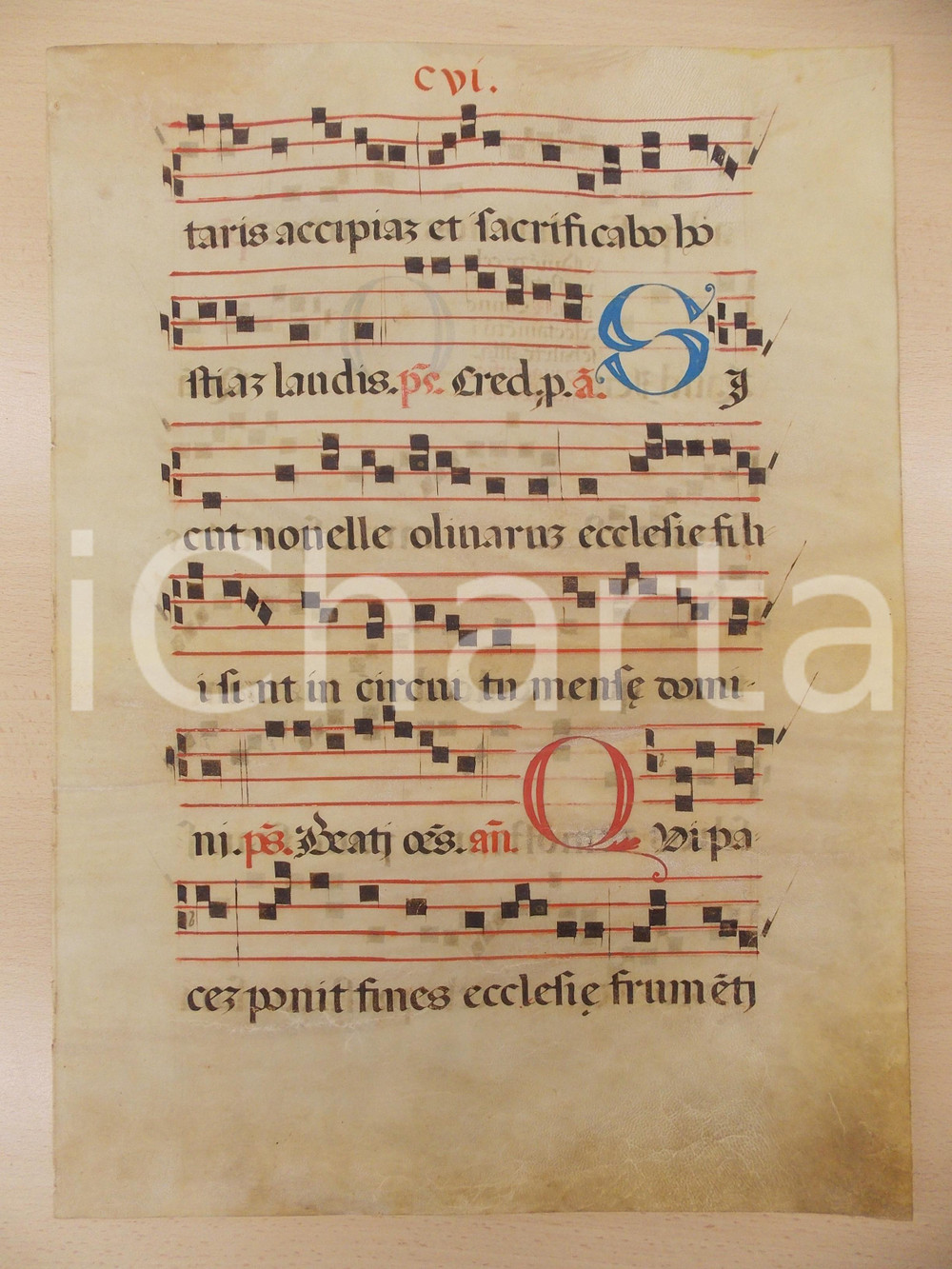 Libro, pubblicazione d epoca 1600 ca ANTIFONARIO ROMANO Pergamena manoscritta rosso nero blu Salmo SICUT 1