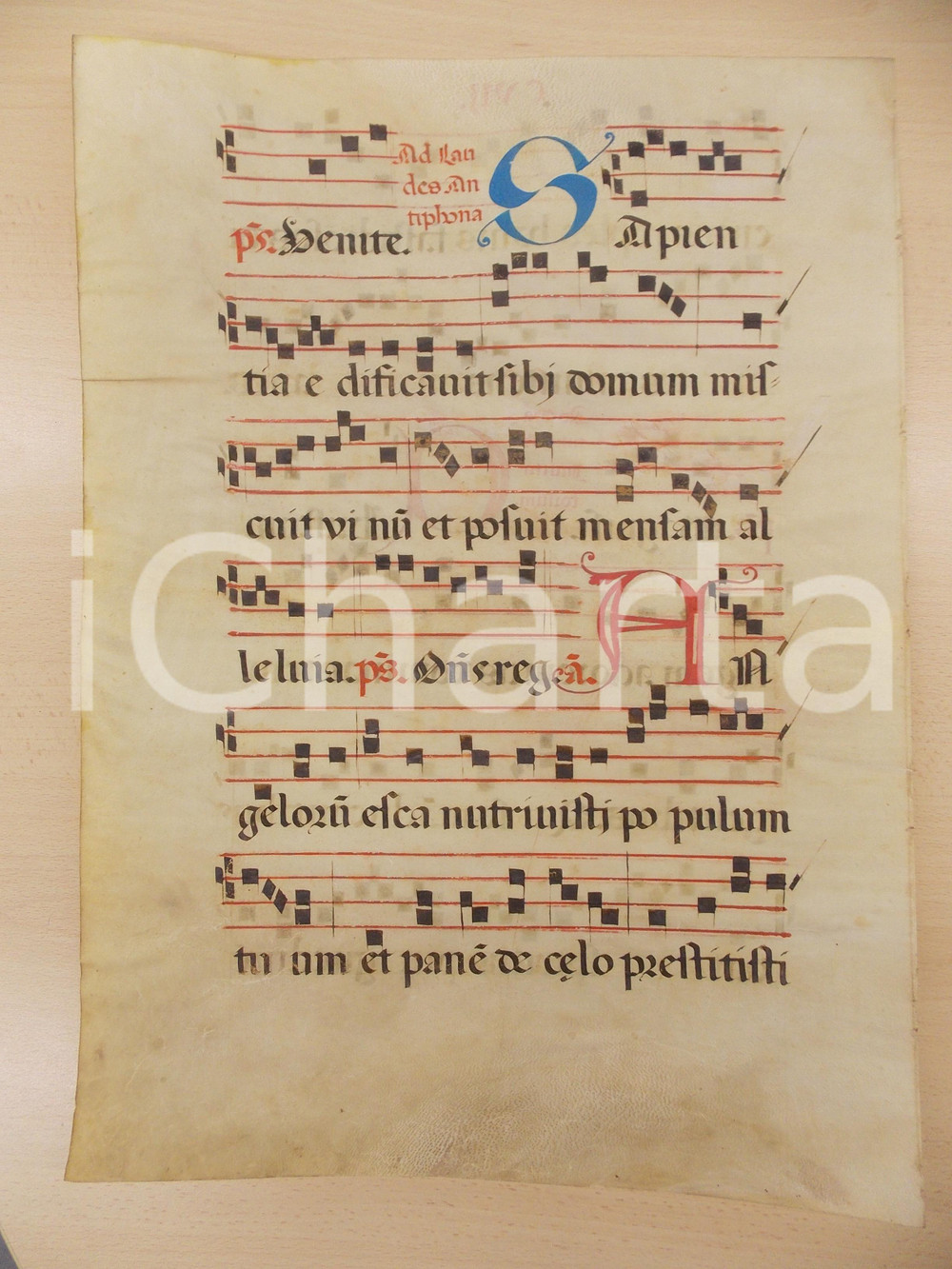 Libro, pubblicazione d epoca 1600 ca ANTIFONARIO ROMANO Pergamena manoscritta rosso nero blu Salmo ANGELORUM 1