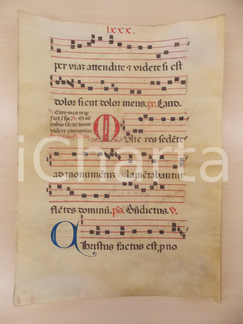 Libro, pubblicazione d epoca 1600 ca ANTIFONARIO ROMANO Pergamena manoscritta rosso nero blu Salmo MULIERES 1