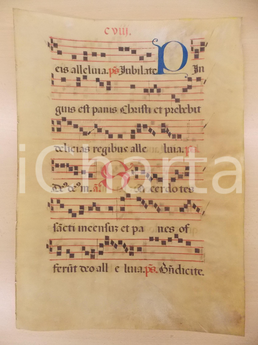 Libro, pubblicazione d epoca 1600 ca ANTIFONARIO ROMANO Pergamena manoscritta rosso nero blu Salmo SACERDOTES 1