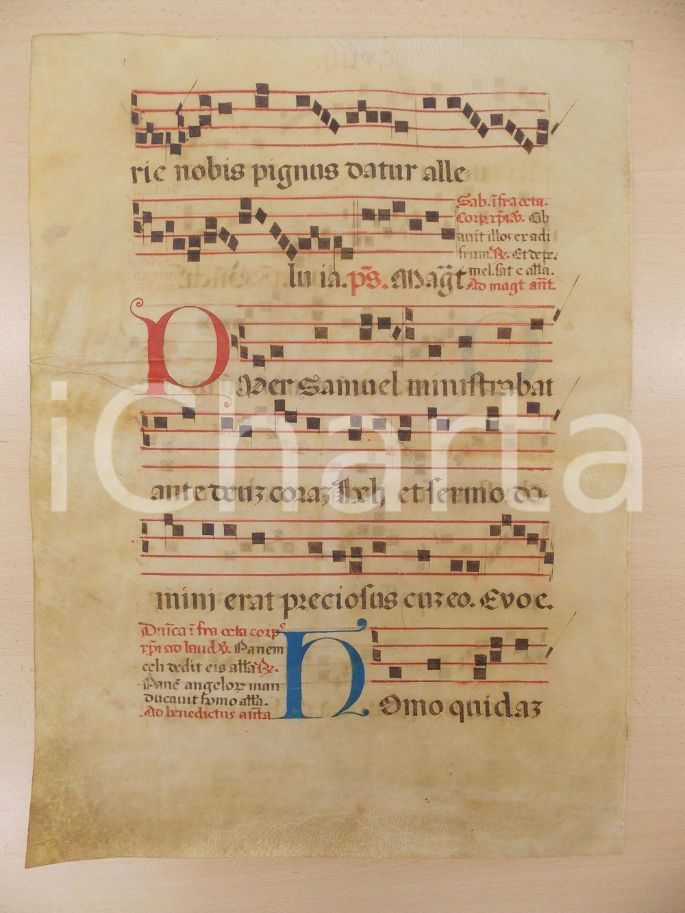 Libro, pubblicazione d epoca 1600 ca ANTIFONARIO ROMANO Pergamena manoscritta rosso nero blu Salmo PUER 1