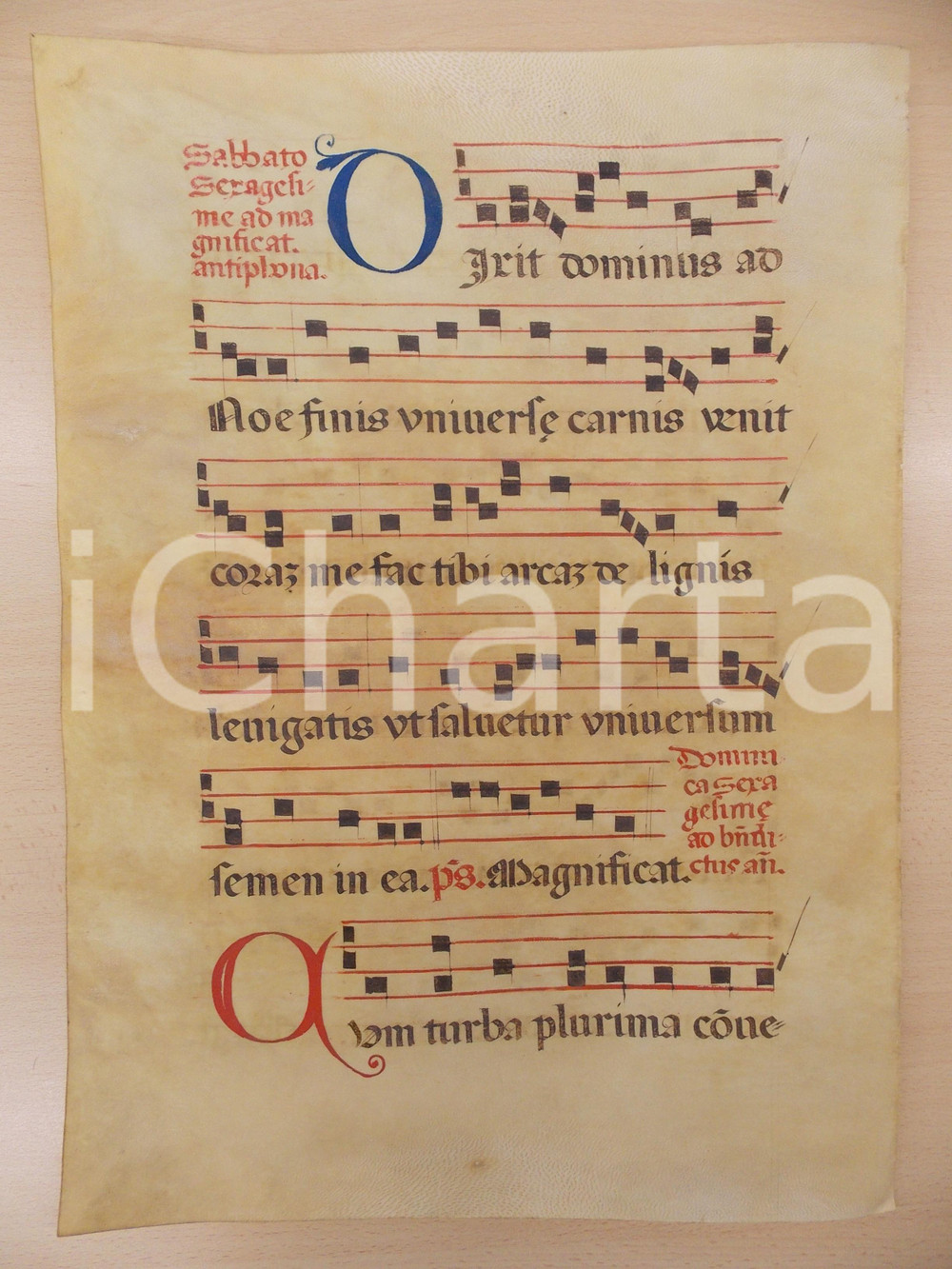 Libro, pubblicazione d epoca 1600 ca ANTIFONARIO ROMANO Pergamena manoscritta rosso nero blu Salmo CUM TURBA 1