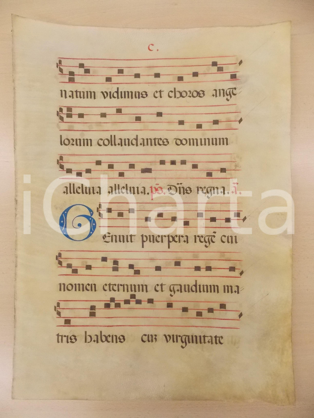 1600 ca ANTIFONARIO ROMANO Pergamena manoscritta rosso nero blu Salmo GENUIT