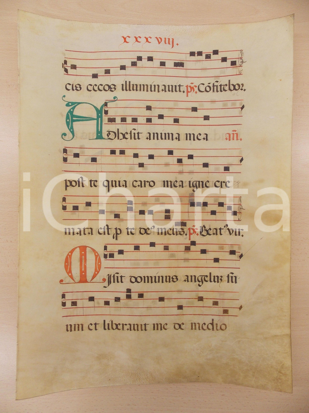 Libro, pubblicazione d epoca 1600 ca ANTIFONARIO ROMANO Pergamena manoscritta rosso nero verde Salmo ADHAESIT 1