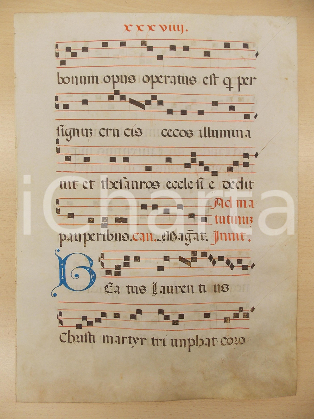 Libro, pubblicazione d epoca 1600 ca ANTIFONARIO ROMANO Pergamena manoscritta rosso nero blu Salmo BEATUS 1