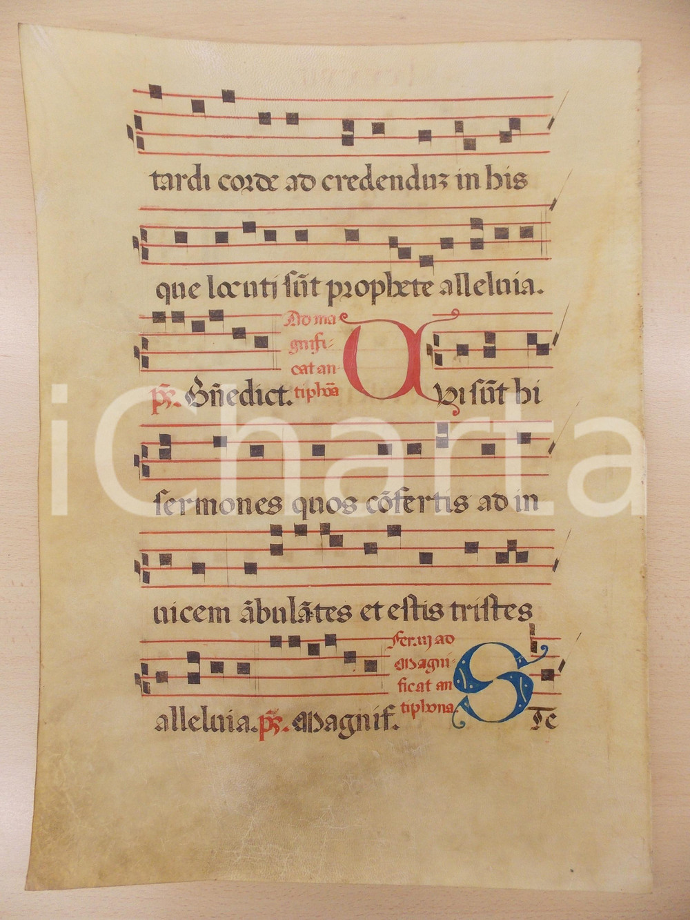 Libro, pubblicazione d epoca 1600 ca ANTIFONARIO ROMANO Pergamena manoscritta rosso nero blu Salmo QUI SUNT 1