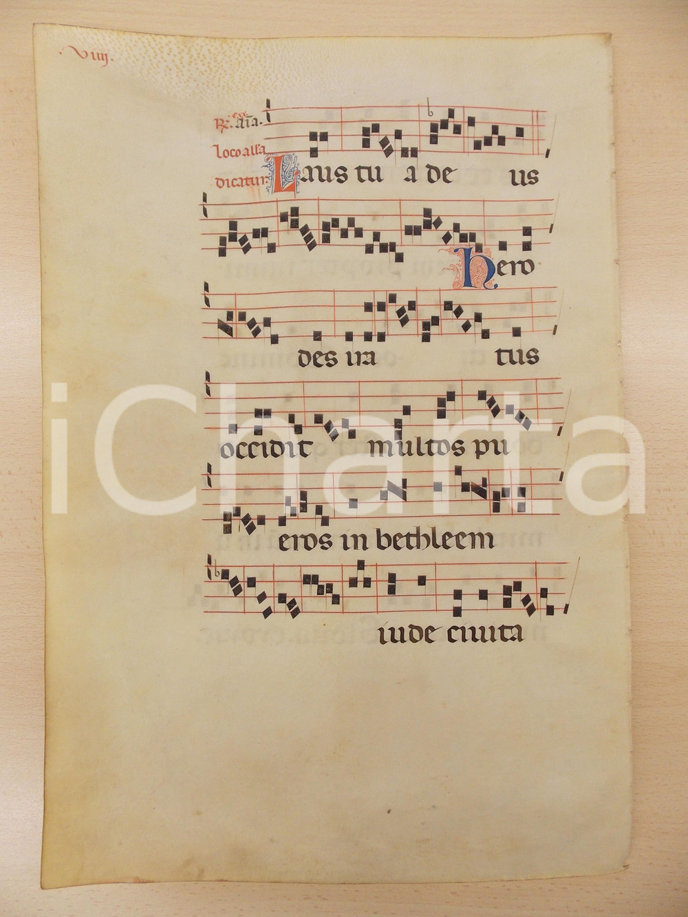 Libro, pubblicazione d epoca 1600 ca ANTIFONARIO ROMANO Pergamena manoscritta rosso nero blu Salmo HERODES 1