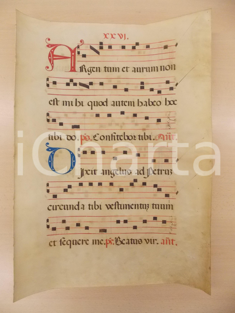 1600 ca ANTIFONARIO ROMANO Pergamena manoscritta rosso nero blu Salmo ARGENTUM
