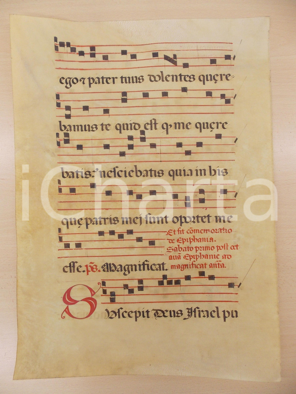 Libro, pubblicazione d epoca 1600 ca ANTIFONARIO ROMANO Pergamena manoscritta rosso nero Salmo SUSCEPIT DEUS 1