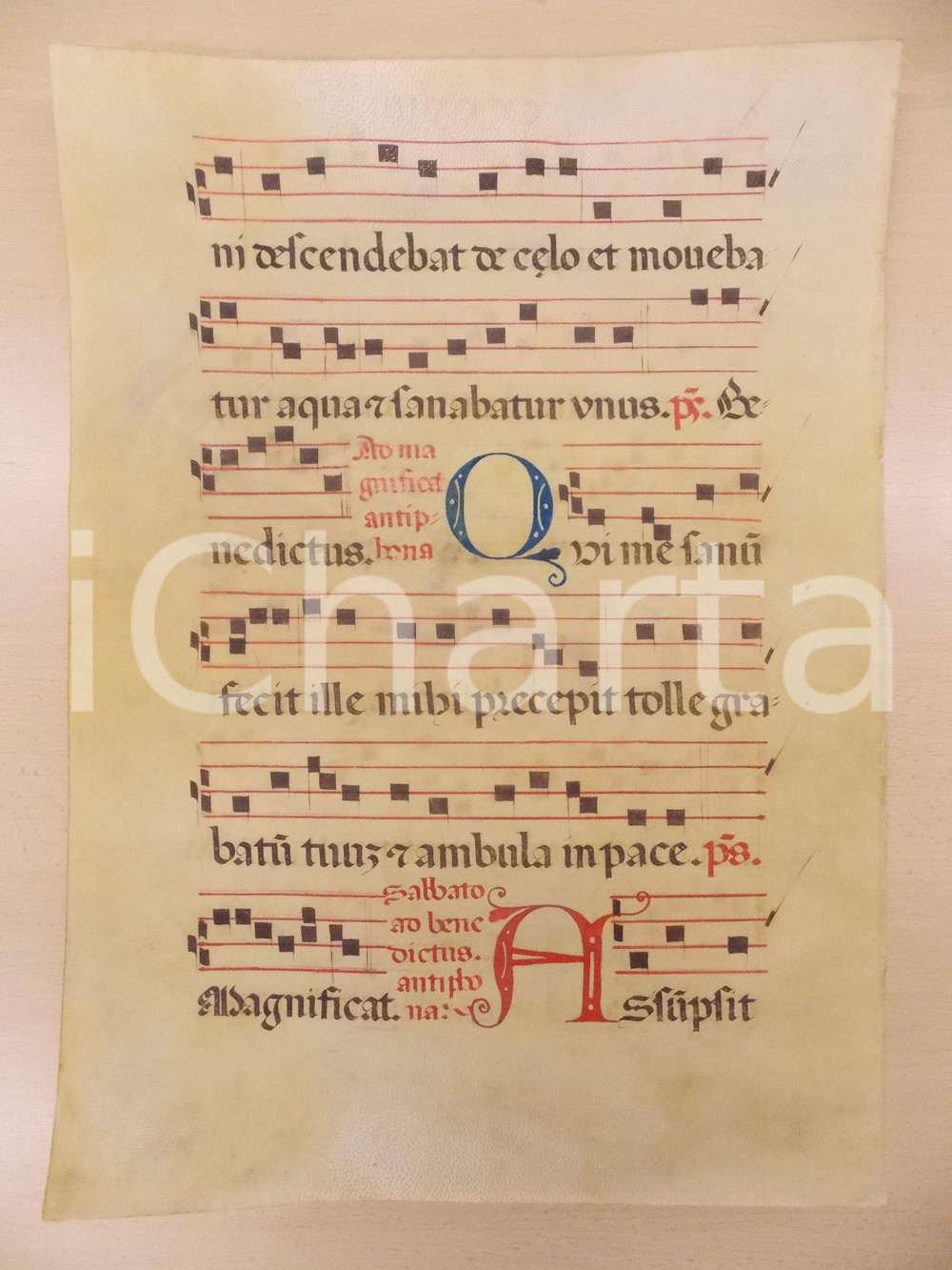 Libro, pubblicazione d epoca 1600 ca ANTIFONARIO ROMANO Pergamena manoscritta rosso nero blu Salmo QUI ME 1