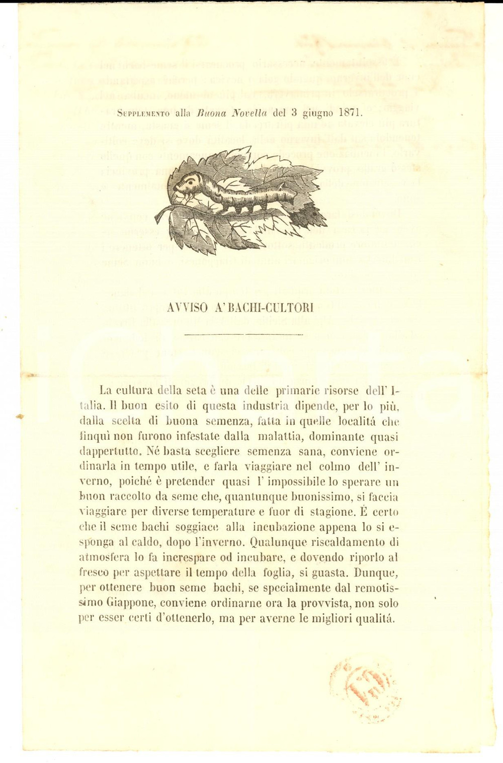Documento originale, autentico 1871 MILANO Ditta Luigi DELL ORO Avviso ai bachicultori Pubblicitario 1