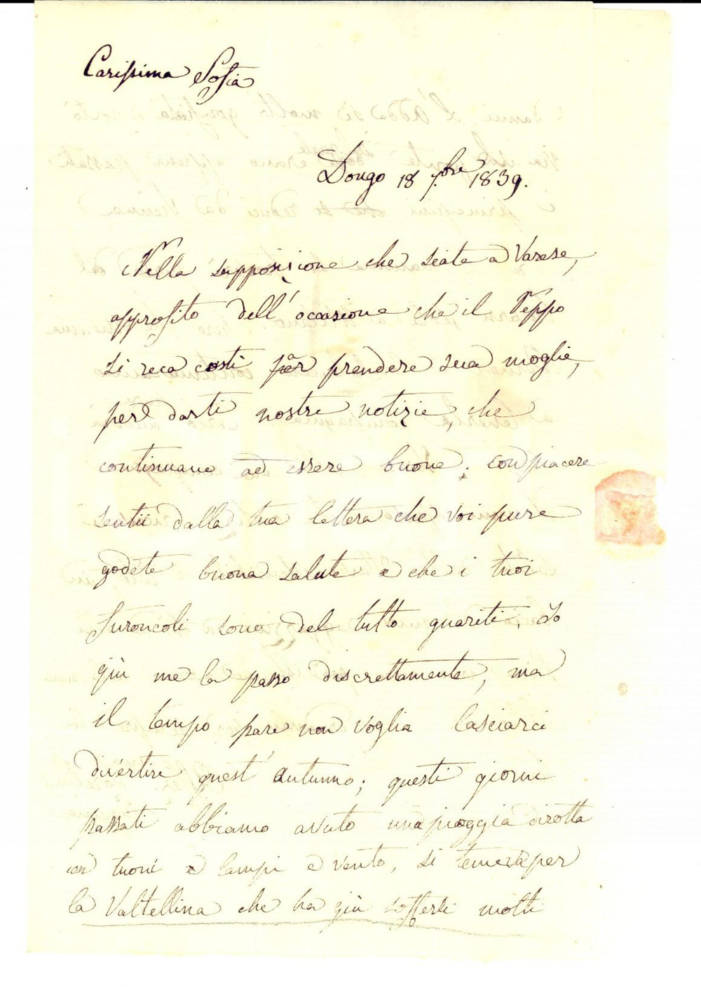Documento originale, autentico 1839 DONGO CO Eugenia TALAMONI e la distruzione del ponte sull Adda Lettera 1